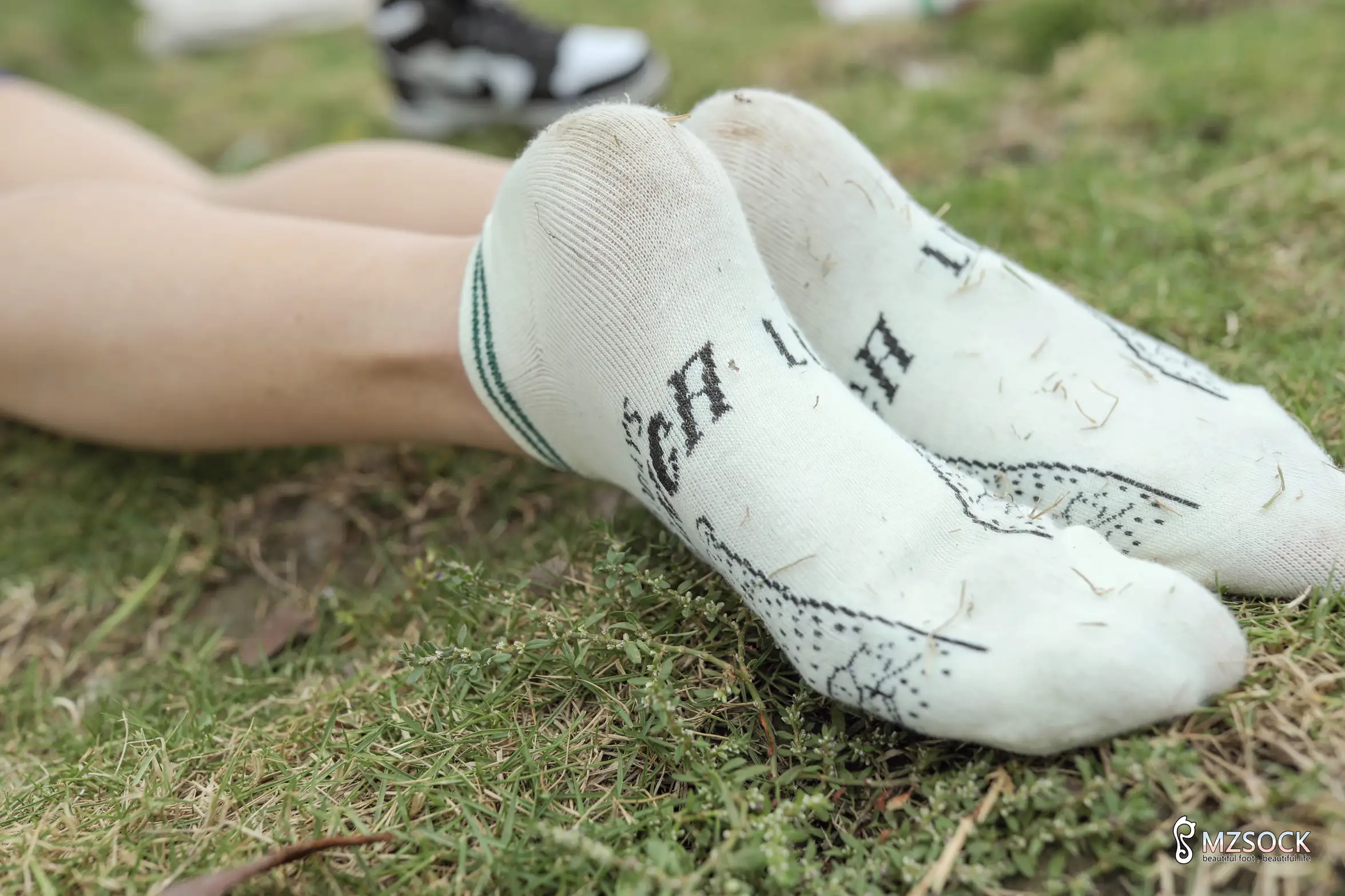 [Mzsock] Love beautiful feet NO.106 cocoa#[74P]-9