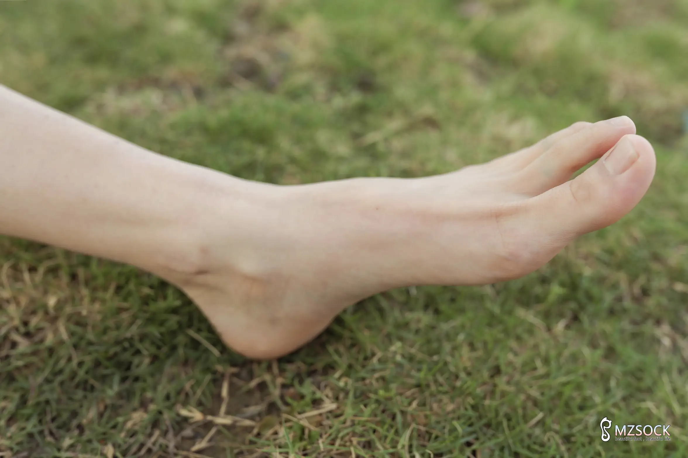 [Mzsock] Love beautiful feet NO.106 cocoa#[74P]-3