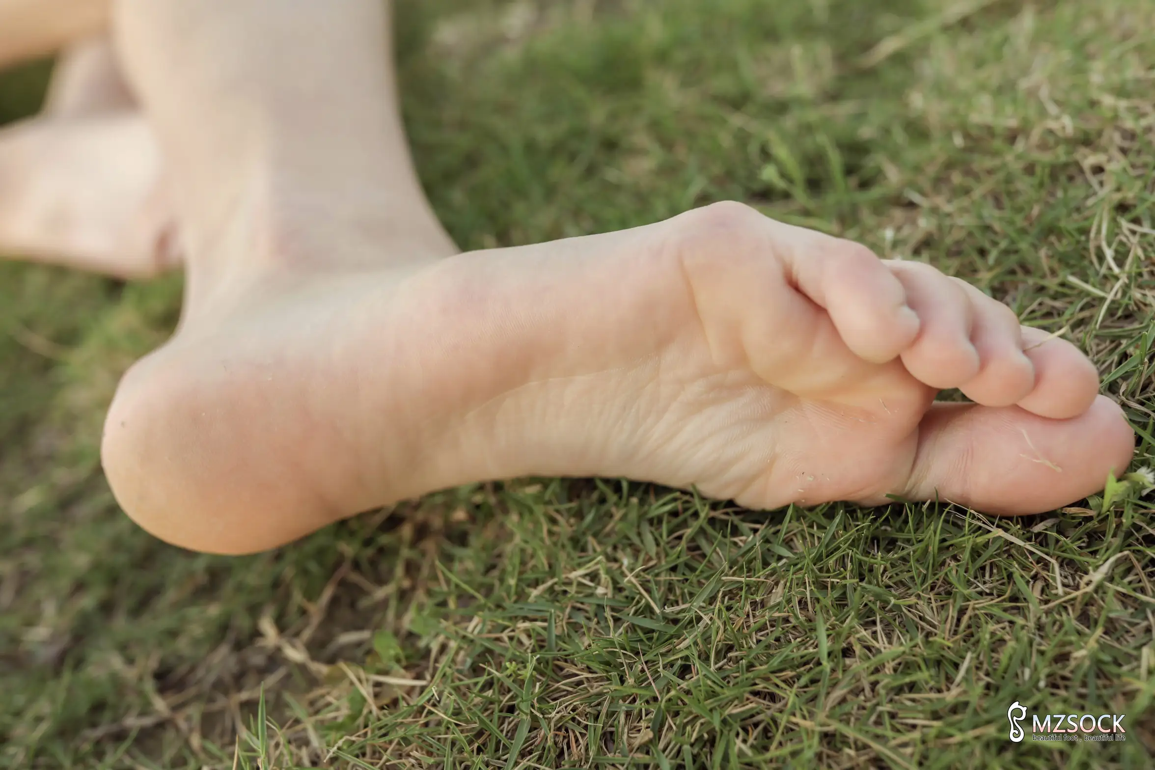 [Mzsock] Love beautiful feet NO.106 cocoa#[74P]-5
