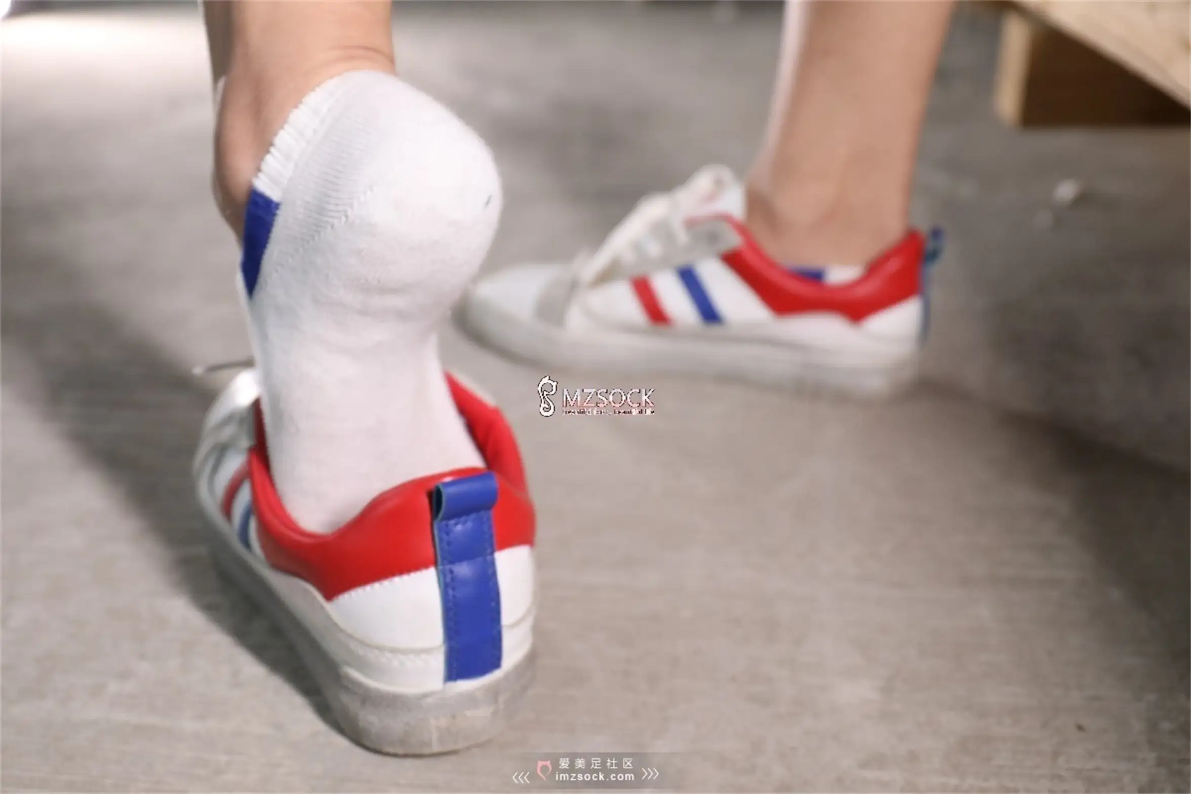 [Mzsock] Love beautiful feet NO.066 Ding ding#[74P]-9