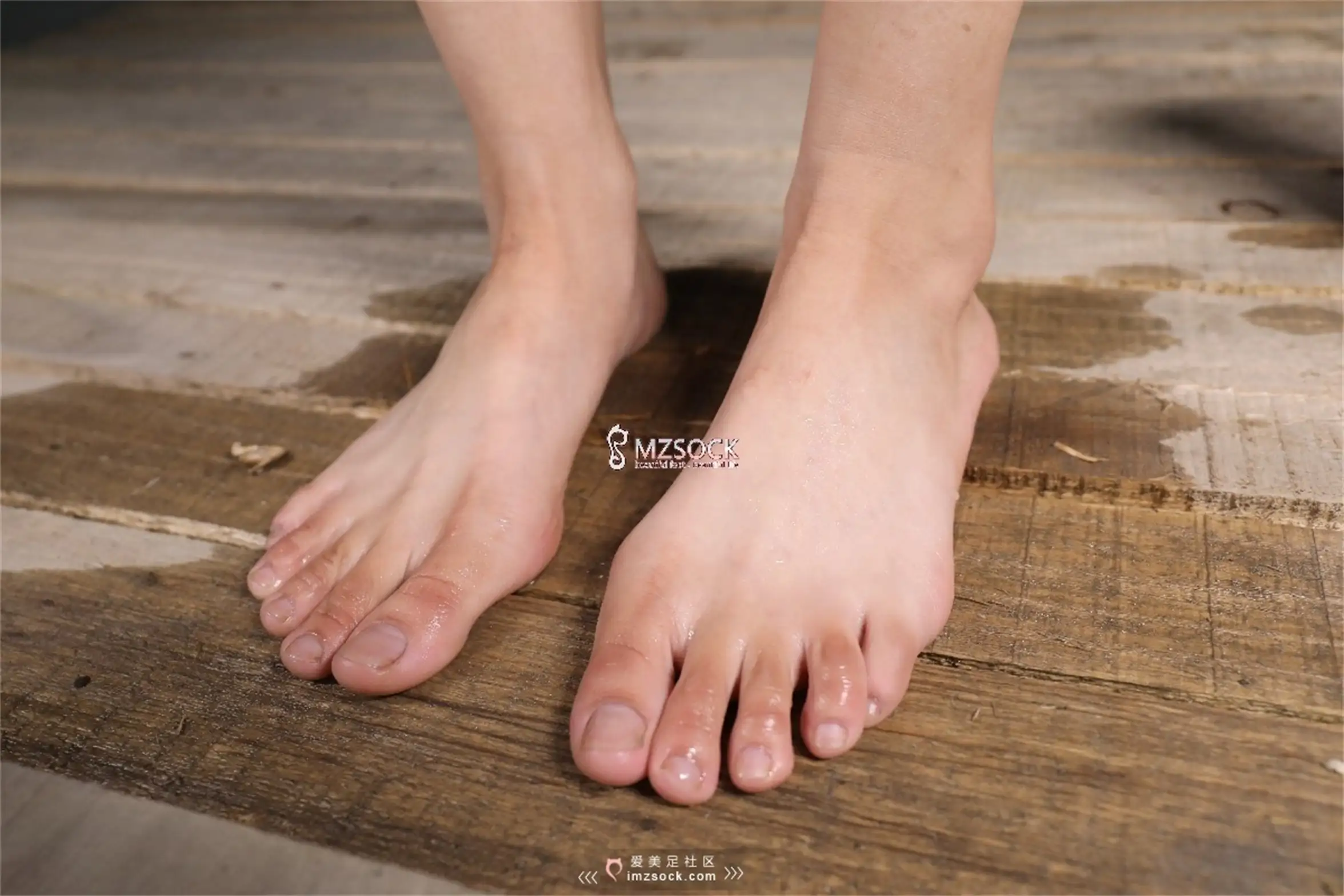 [Mzsock] Love beautiful feet NO.066 Ding ding#[74P]-8