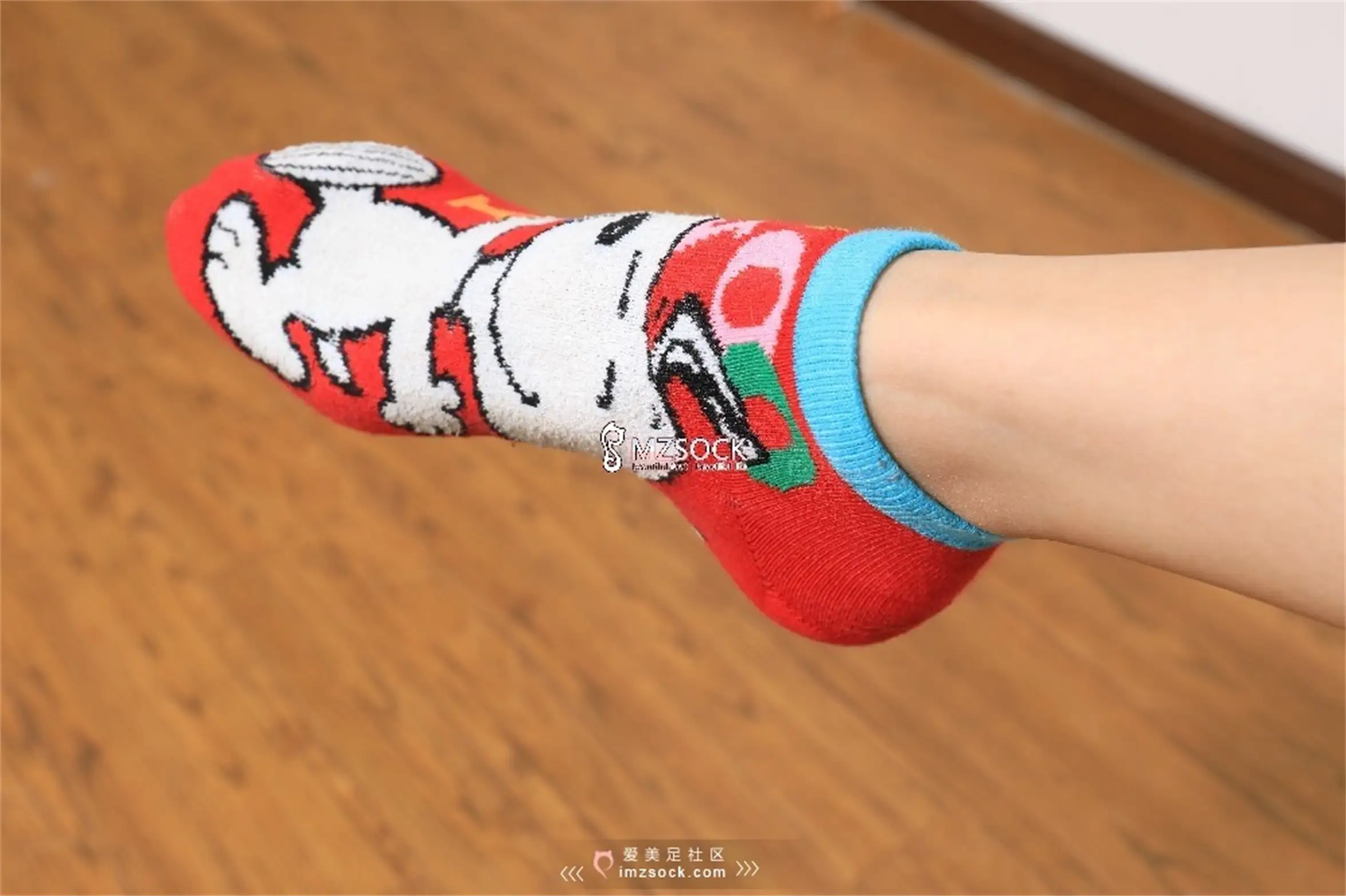 [Mzsock] Love beautiful feet NO.058 long legs ding ding#[74P]-10