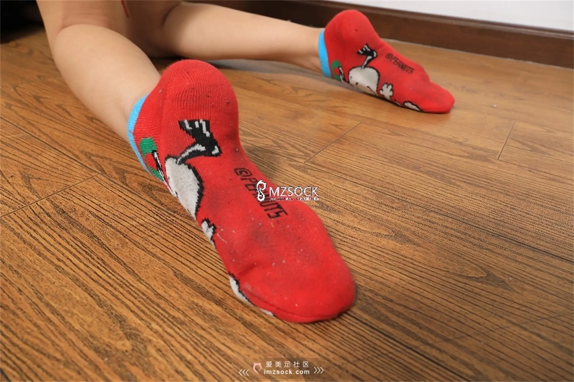 [Mzsock] Love beautiful feet NO.058 long legs ding ding#[74P]-2