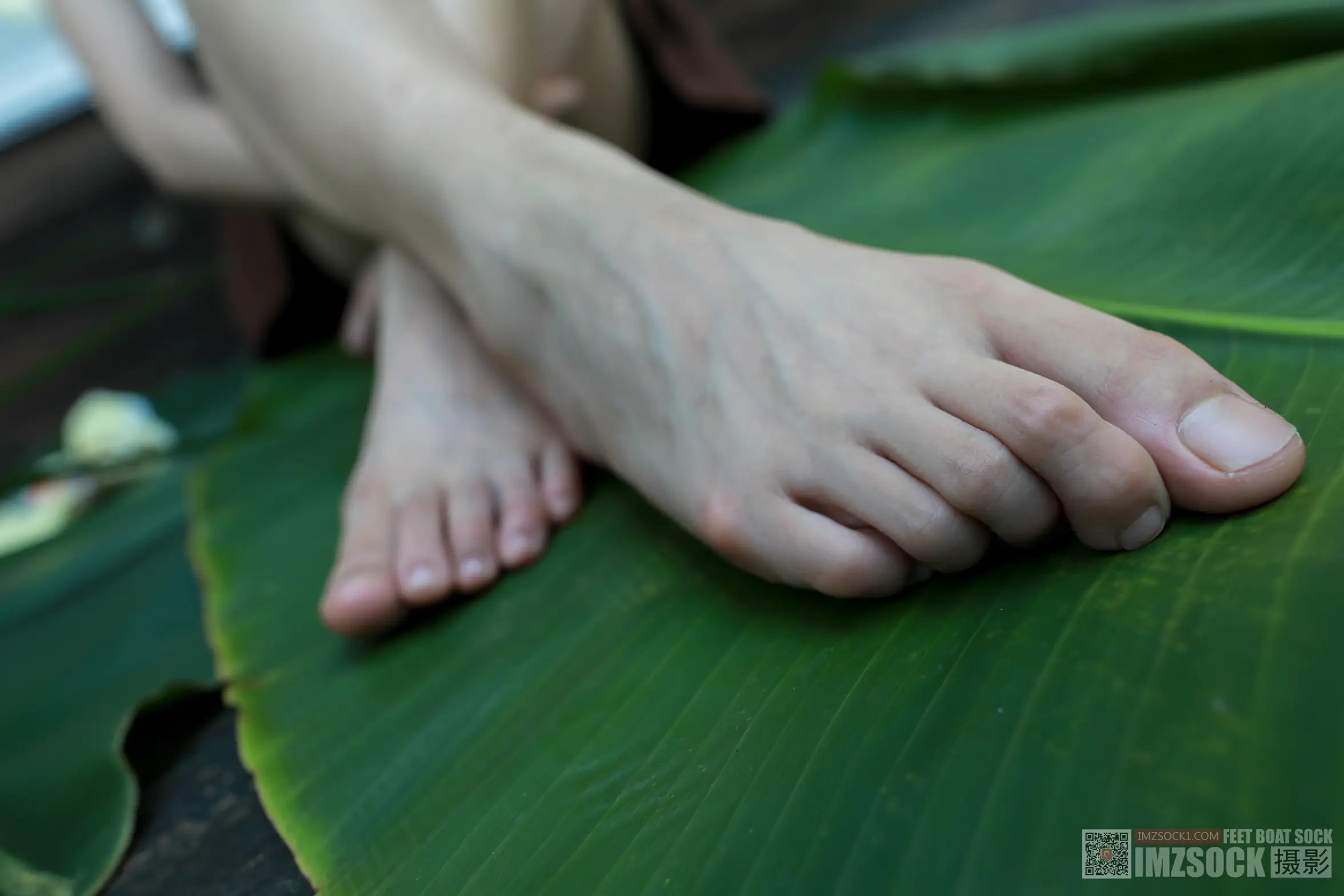 [Mzsock] Love beautiful feet NO.119 cocoa#[74P]-10