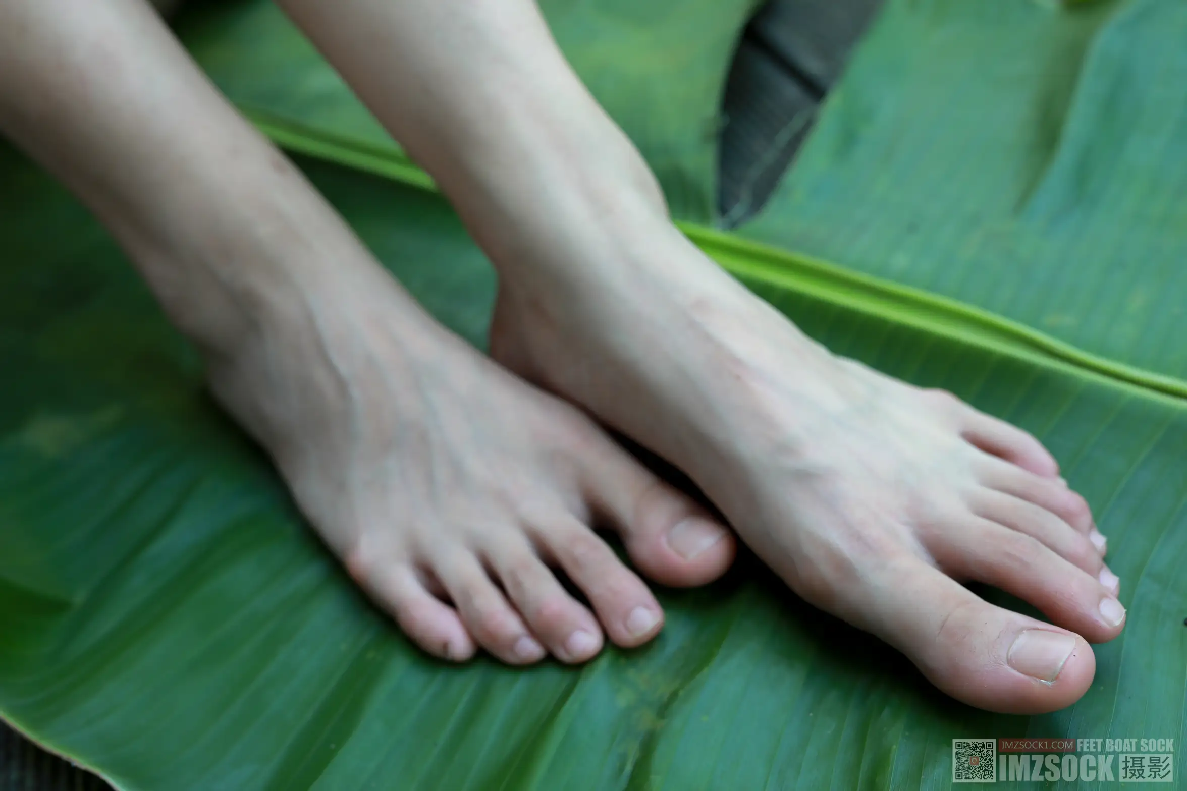[Mzsock] Love beautiful feet NO.119 cocoa#[74P]-3