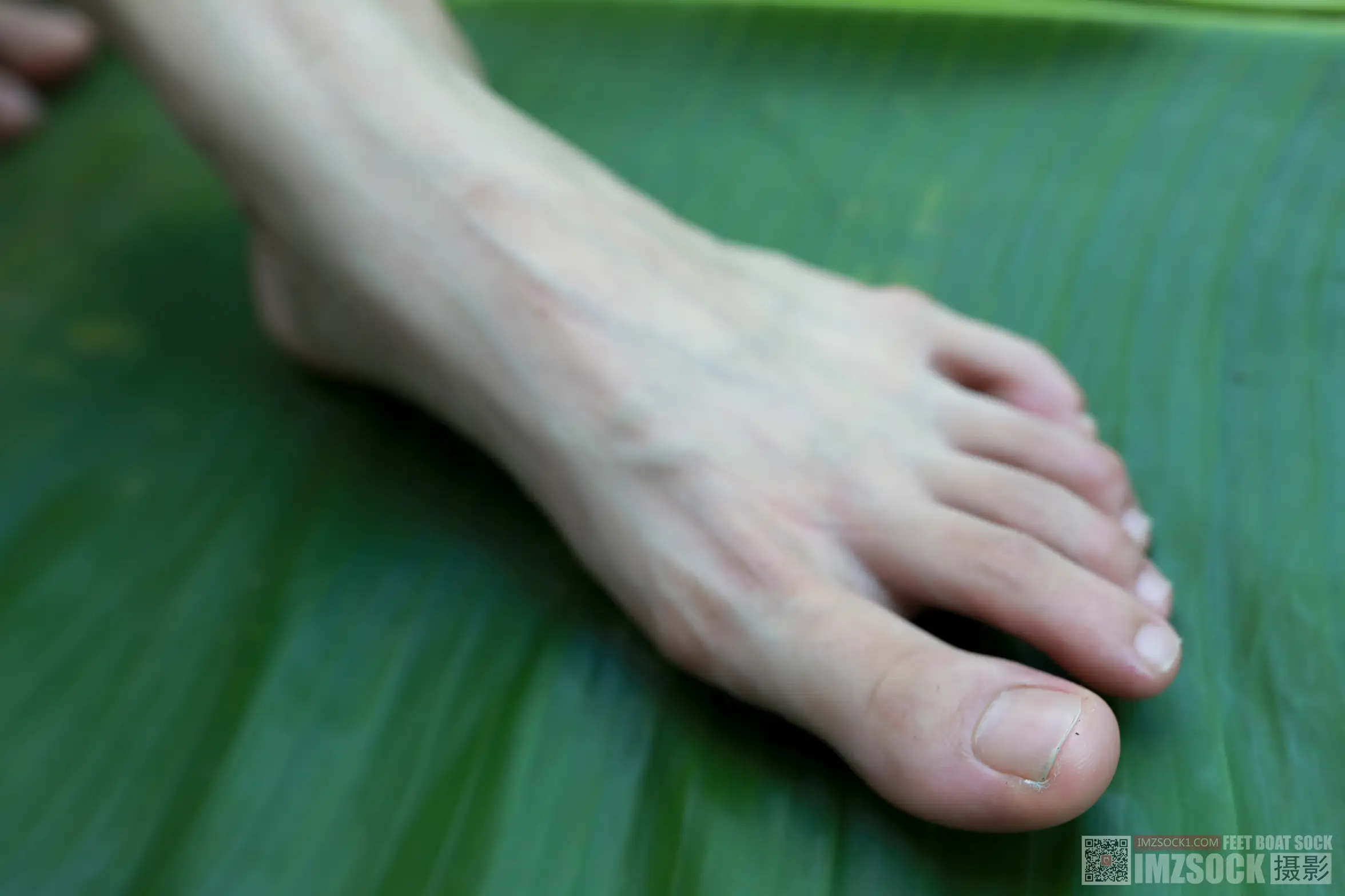 [Mzsock] Love beautiful feet NO.119 cocoa#[74P]-4
