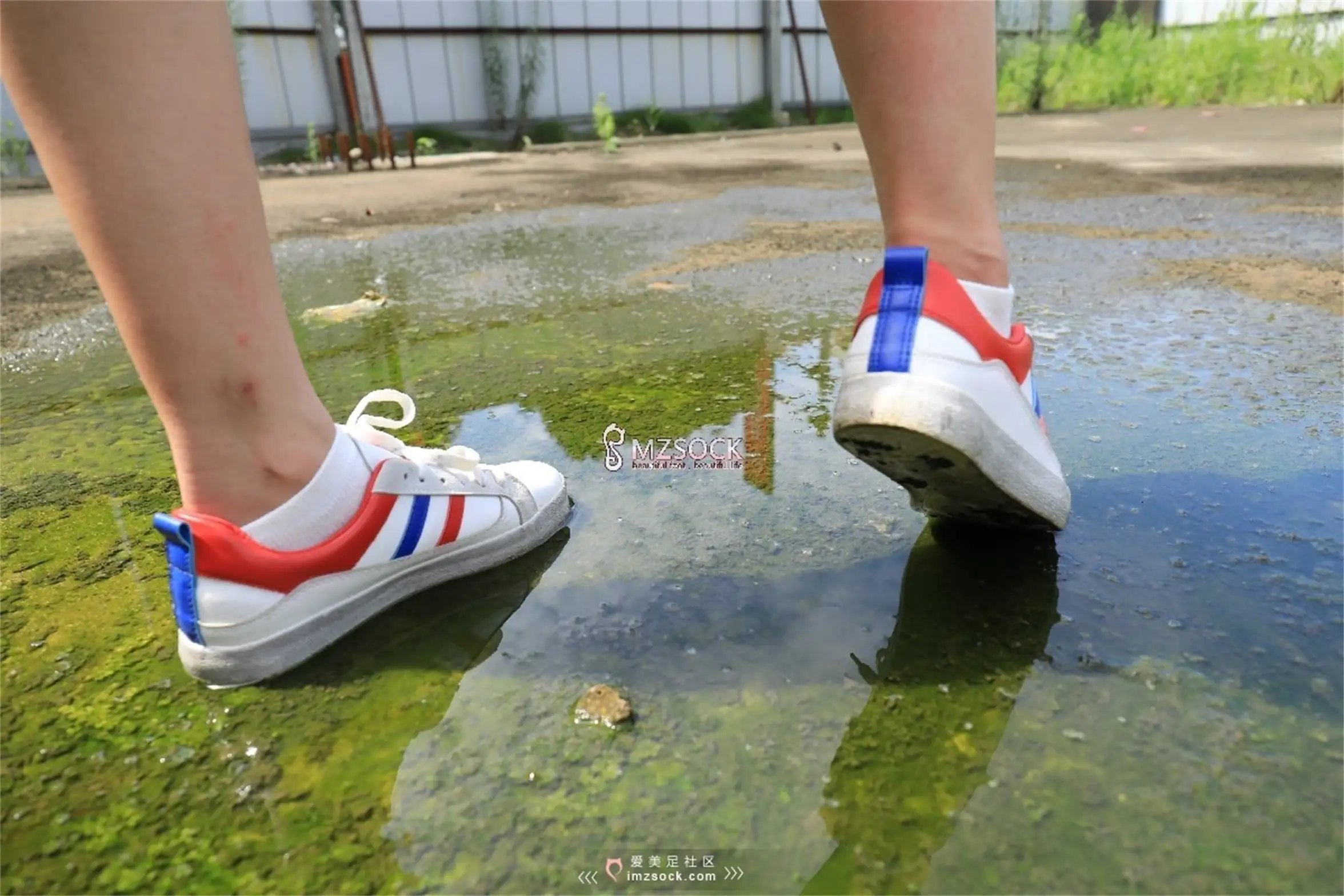 [Mzsock] Love beautiful feet NO.049 Yueyue#[74P]-1