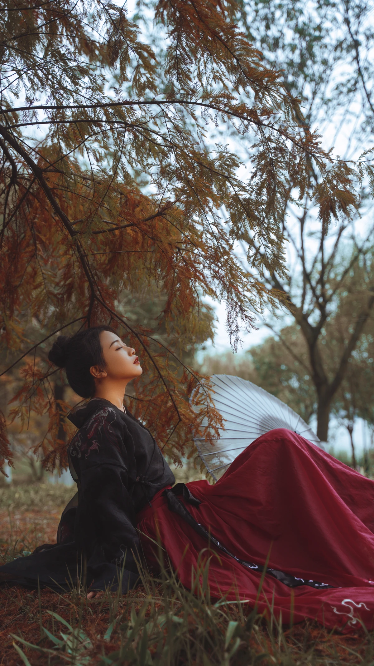 [YITUYU] 2023.01.08 Vol.2864 – Redwood Forest Wangwang Xiaoxiaoshu#[30P]-7