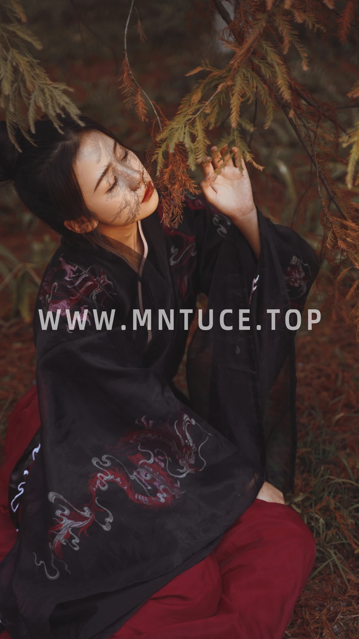 [YITUYU] 2023.01.08 Vol.2864 – Redwood Forest Wangwang Xiaoxiaoshu#[30P]-1