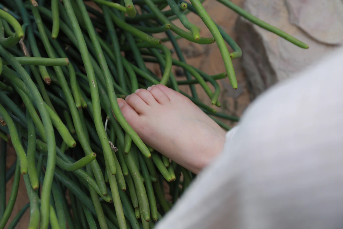 [Mzsock] Love beautiful feet NO.274 Xiaotian#[127P]-2