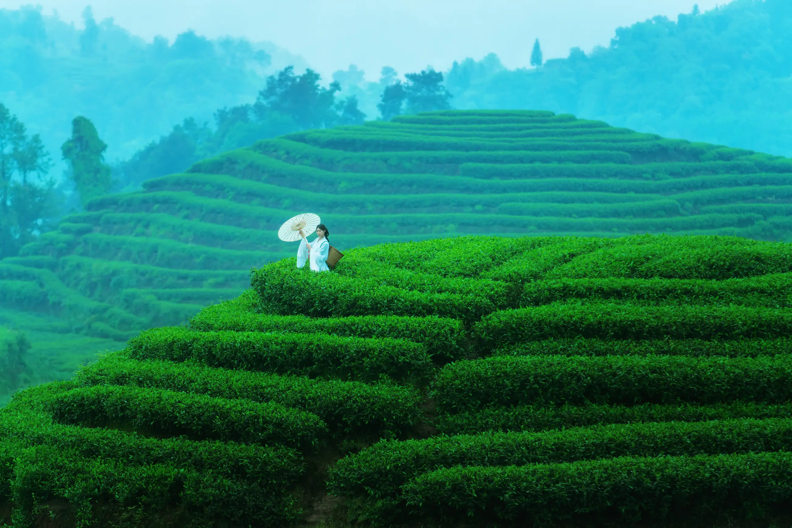 [YITUYU] 2021.12.24 Vol.525 – Kongshan Lingyu First tea#[27P]-1