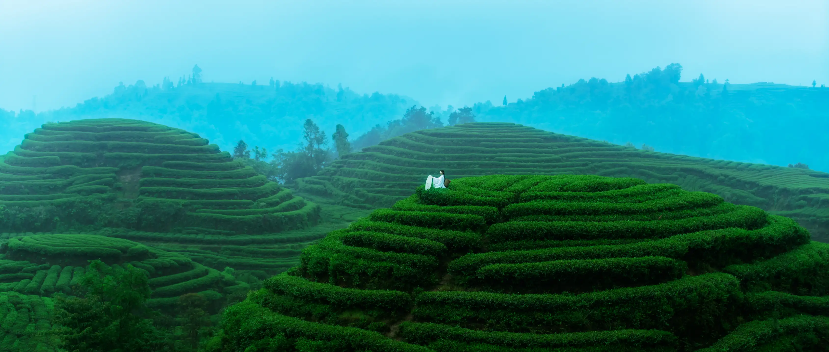 [YITUYU] 2021.12.24 Vol.525 – Kongshan Lingyu First tea#[27P]-2