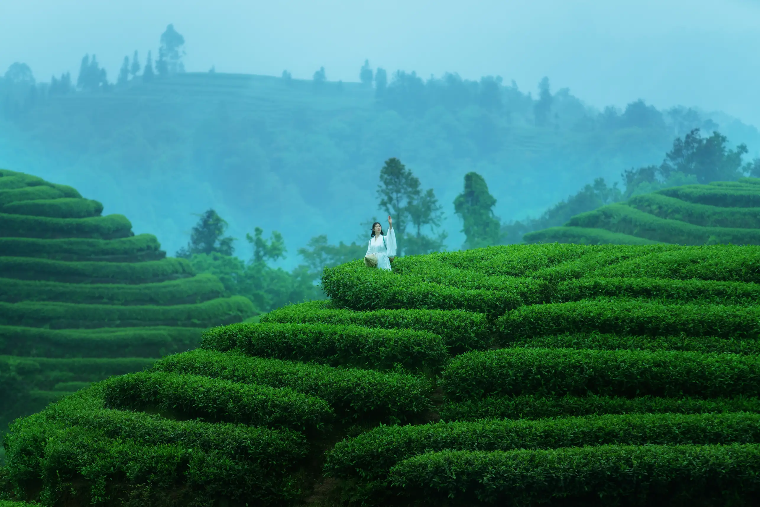 [YITUYU] 2021.12.24 Vol.525 – Kongshan Lingyu First tea#[27P]-3