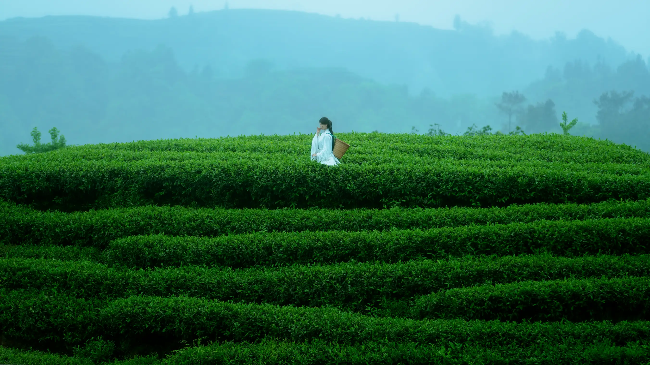 [YITUYU] 2021.12.24 Vol.525 – Kongshan Lingyu First tea#[27P]-5