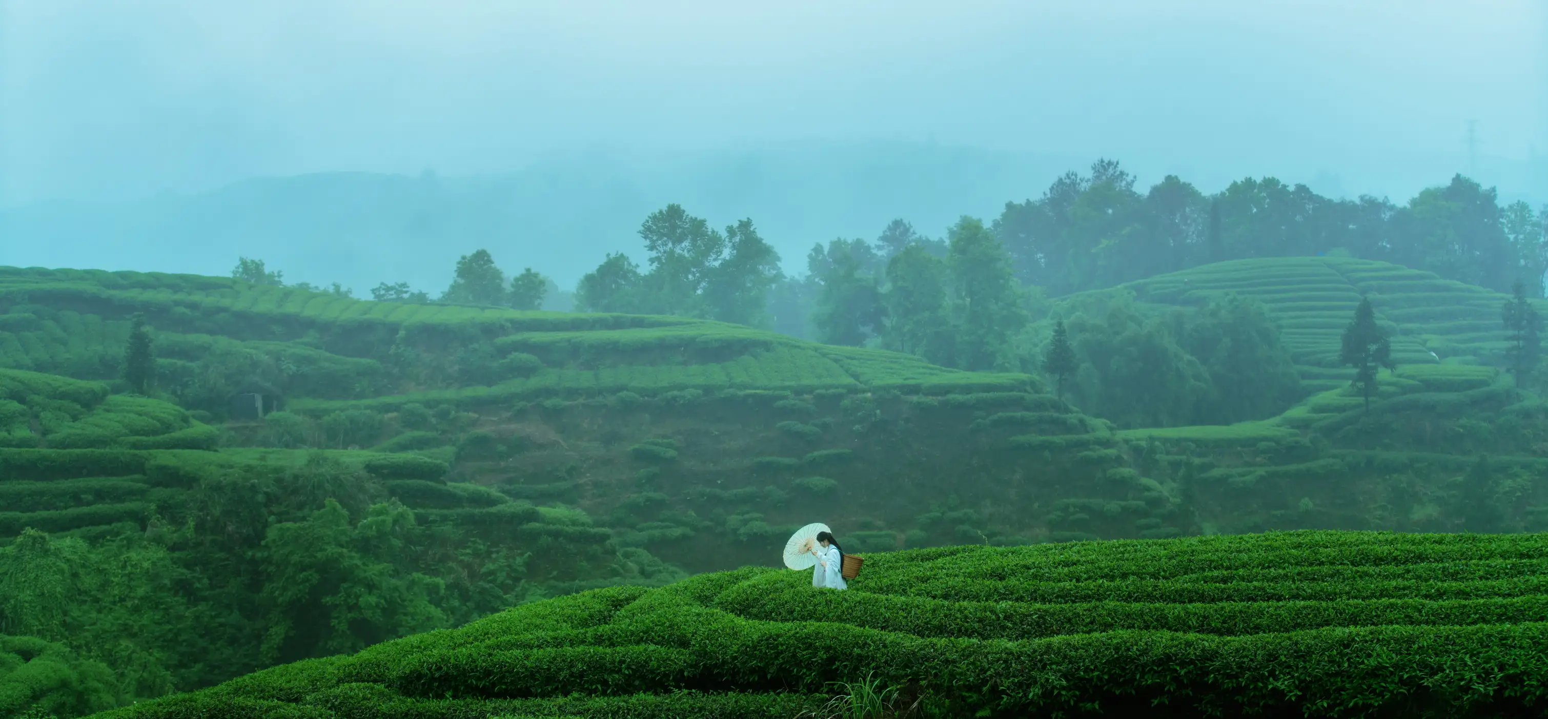 [YITUYU] 2021.12.24 Vol.525 – Kongshan Lingyu First tea#[27P]-7
