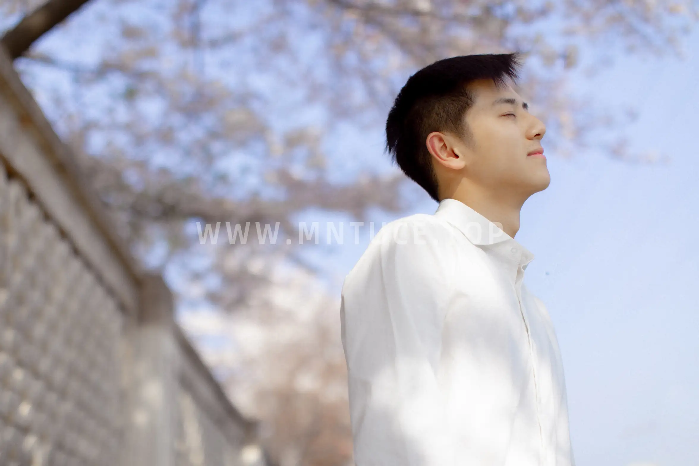 [YITUYU] 2021.09.02 Vol.216 – Pink Sakura Language #[28P]-8