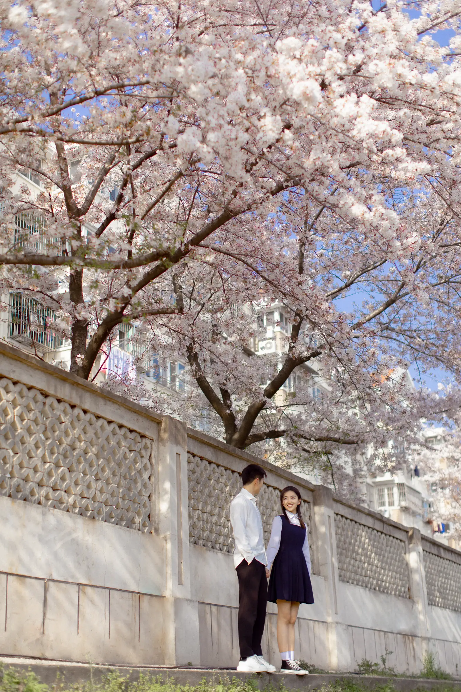 [YITUYU] 2021.09.02 Vol.216 – Pink Sakura Language #[28P]-1