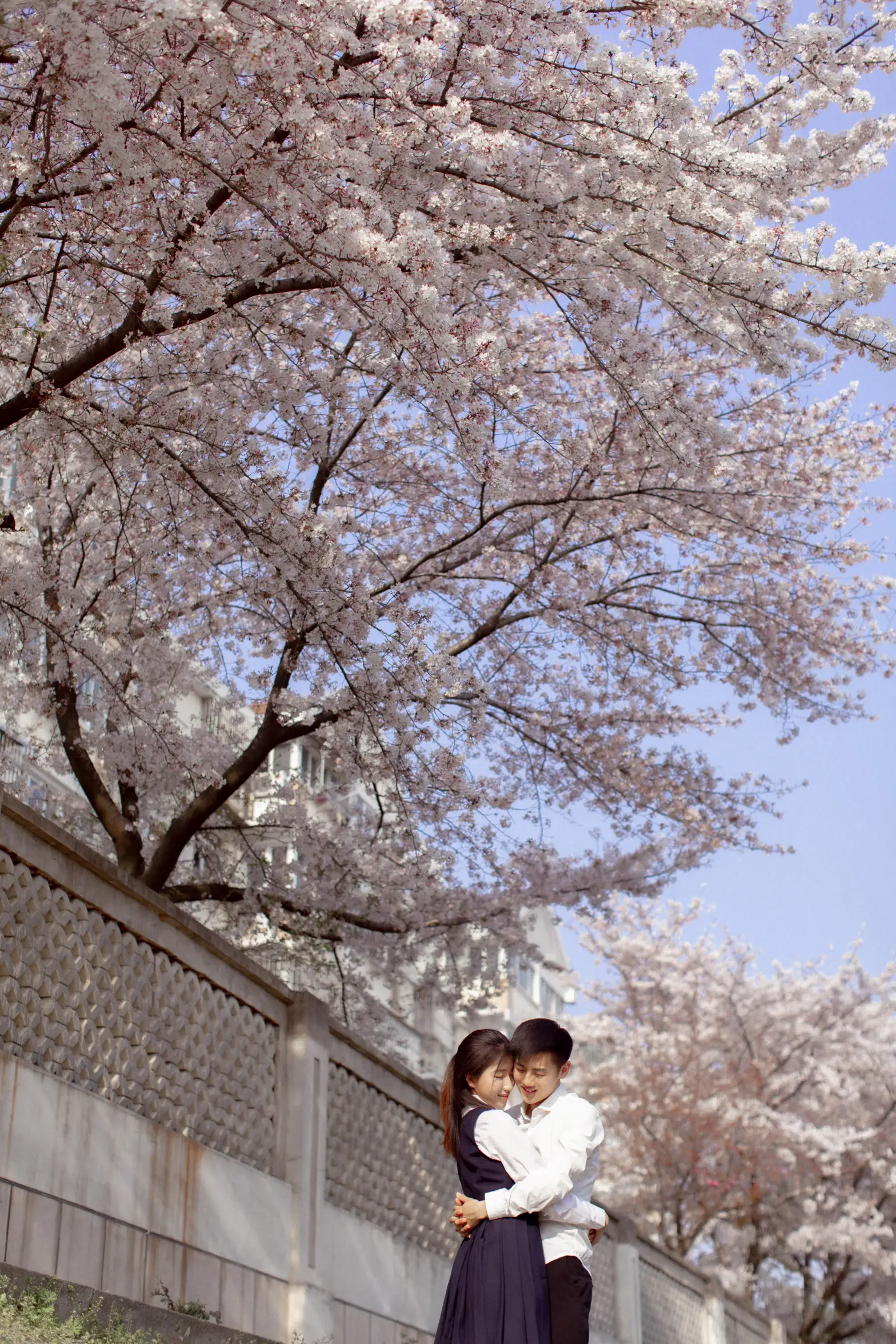 [YITUYU] 2021.09.02 Vol.216 – Pink Sakura Language #[28P]-2