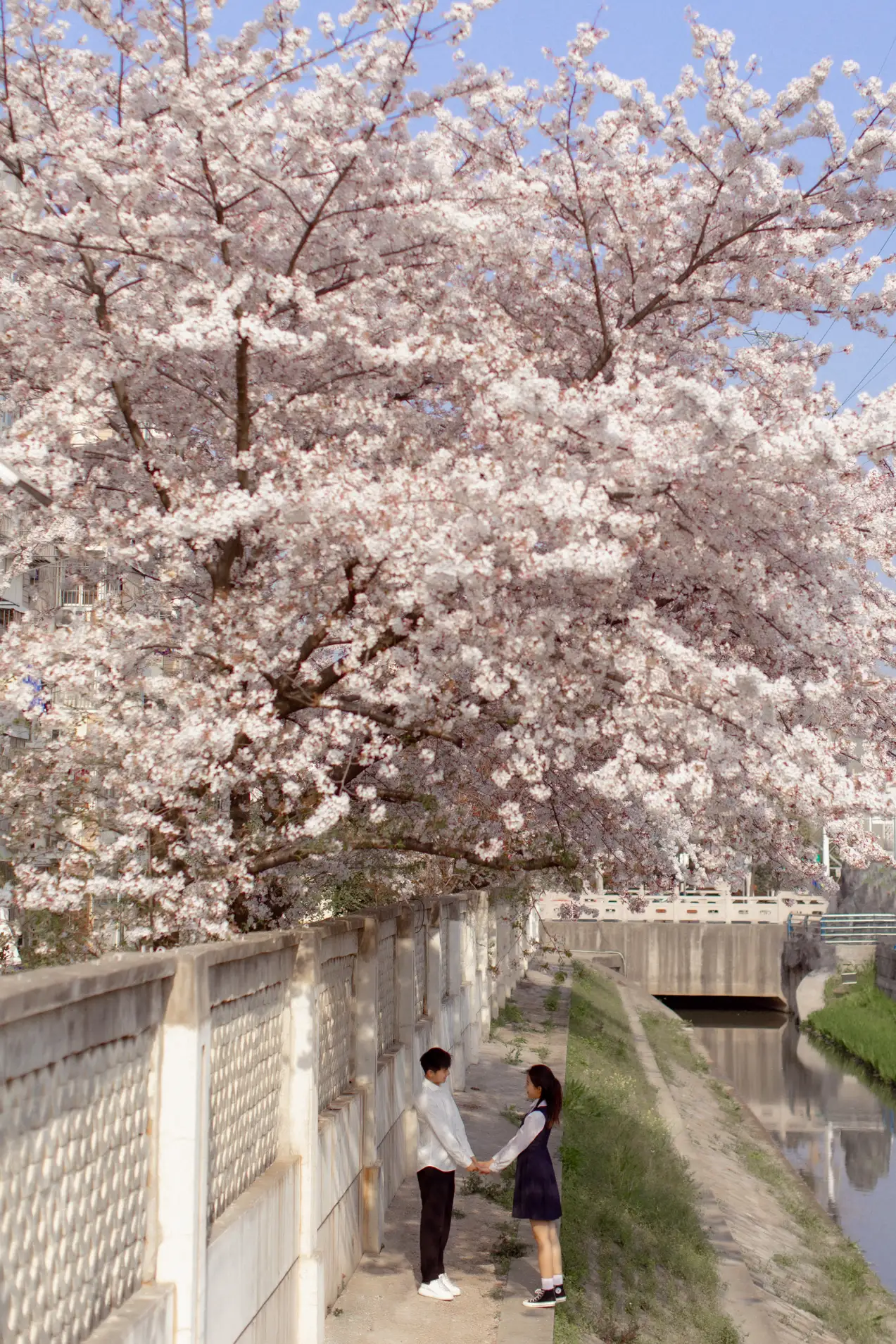[YITUYU] 2021.09.02 Vol.216 – Pink Sakura Language #[28P]-3