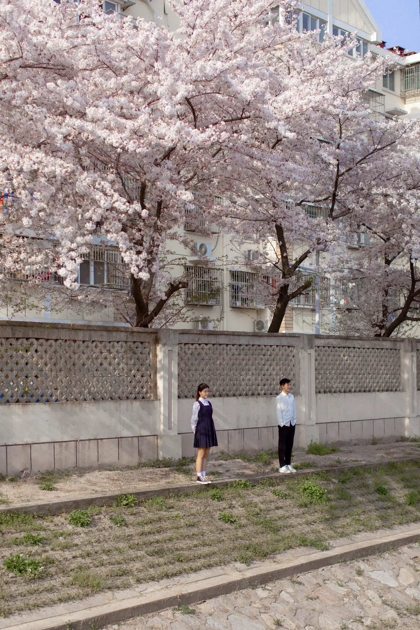 [YITUYU] 2021.09.02 Vol.216 – Pink Sakura Language #[28P]-4