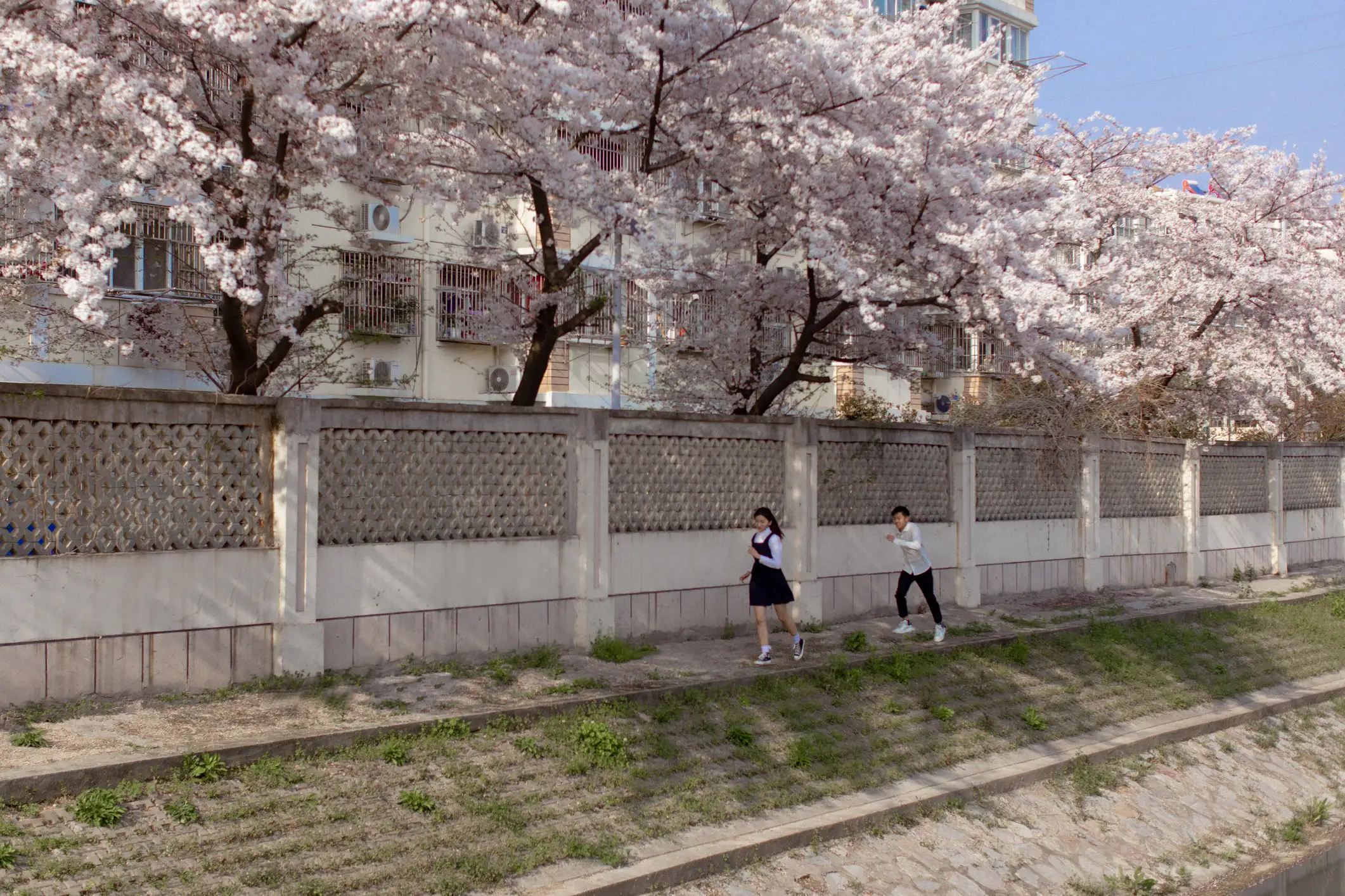 [YITUYU] 2021.09.02 Vol.216 – Pink Sakura Language #[28P]-5