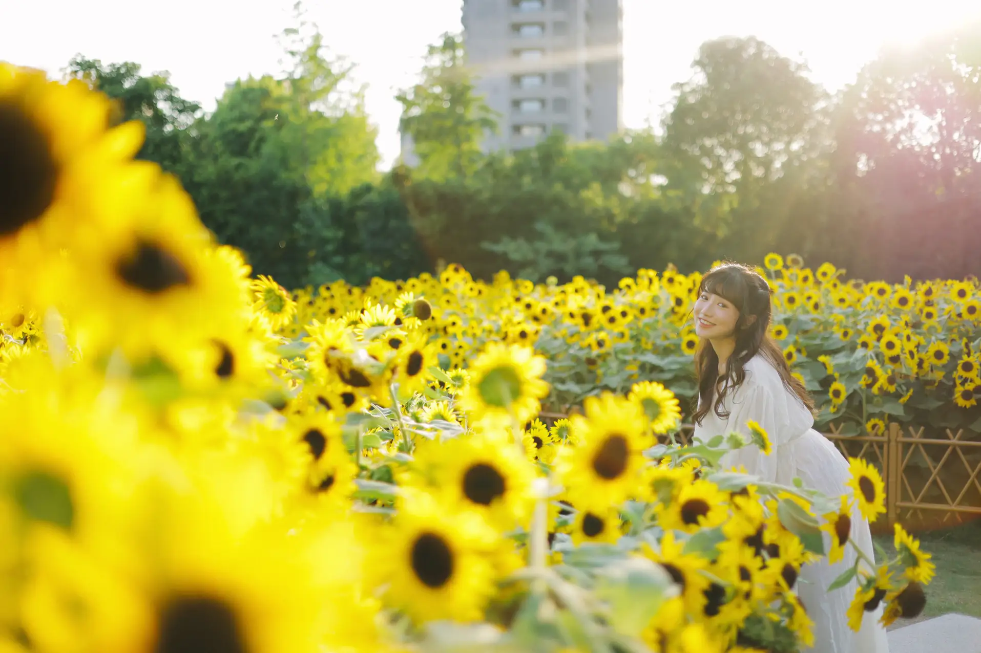 [YITUYU] 2022.08.29 Vol.1822 – Flowers and You in the Sun Fatty Blue-#[25P]-1