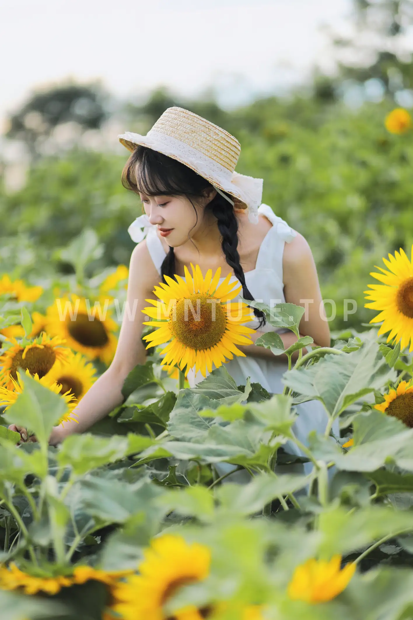 [YITUYU] 2022.11.25 Vol.2528 sunflower#[36P]-3